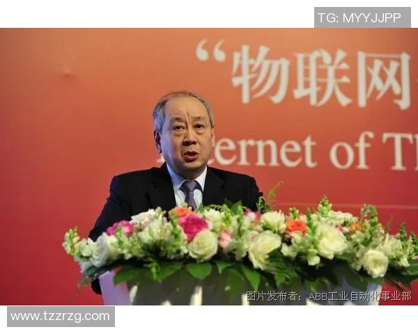 平福与清化的对比分析及其对未来发展的影响探讨 平福与清化的对比分析及其对未来发展的影响探讨