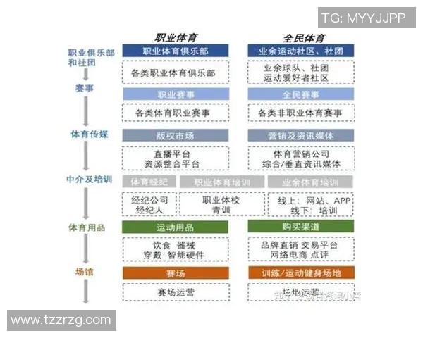 体育俱乐部市场分析与发展趋势研究及其对行业竞争力的影响探讨